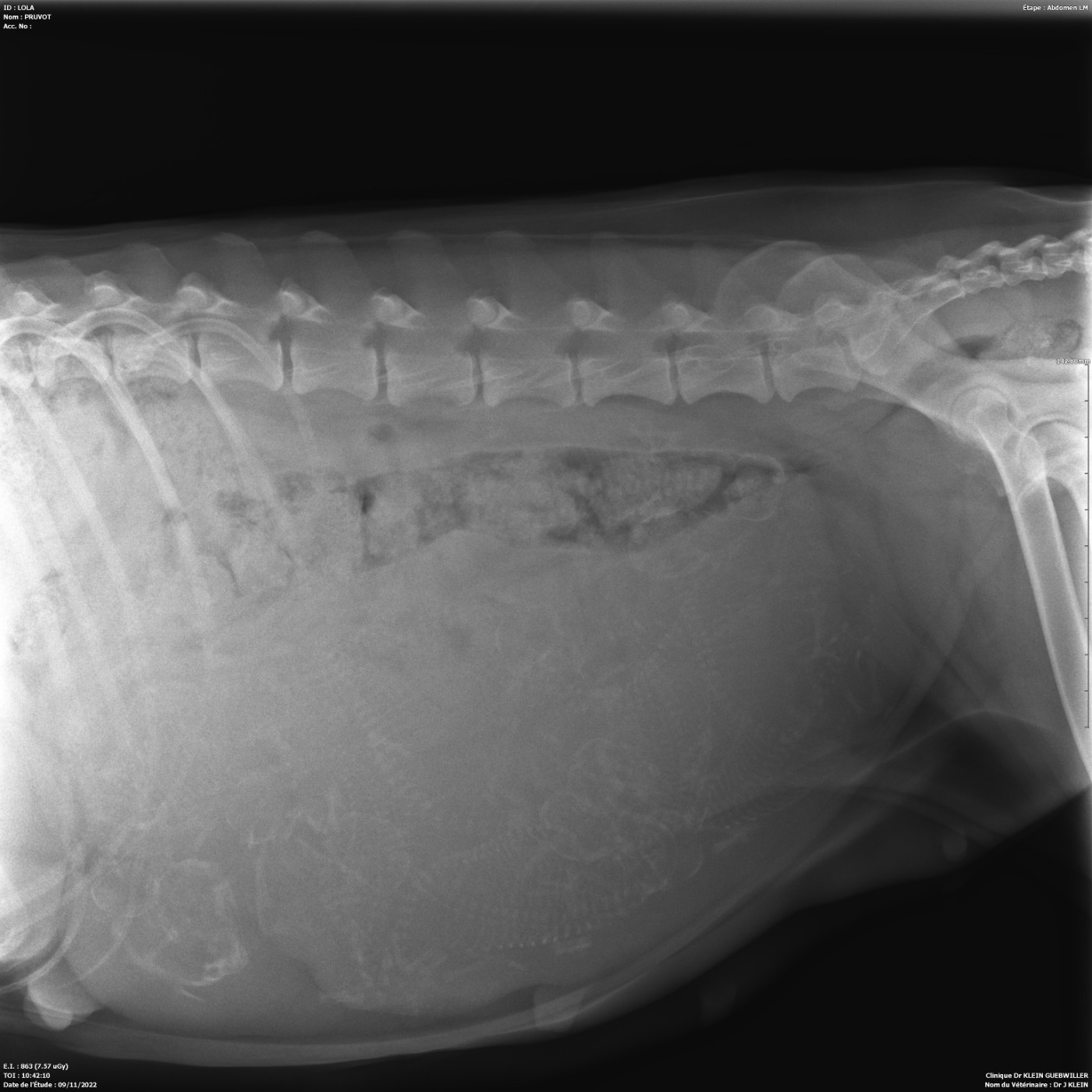 Mariage Story&Vedde 2026